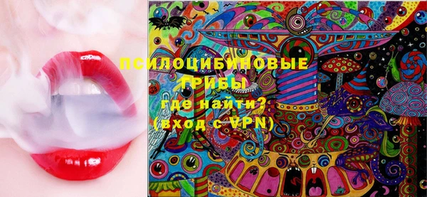 прущие грибы Абдулино