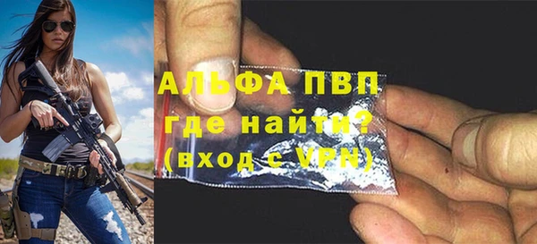 прущие грибы Абдулино