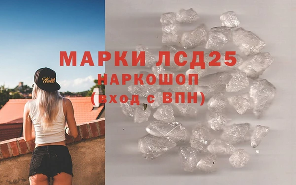 прущие грибы Абдулино