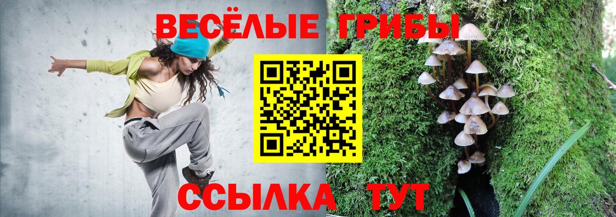 Псилоцибиновые грибы прущие грибы Севастополь