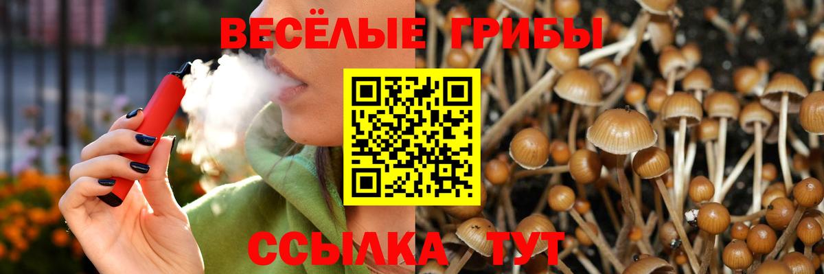 Галлюциногенные грибы Cubensis  Вход с VPN  Севастополь 